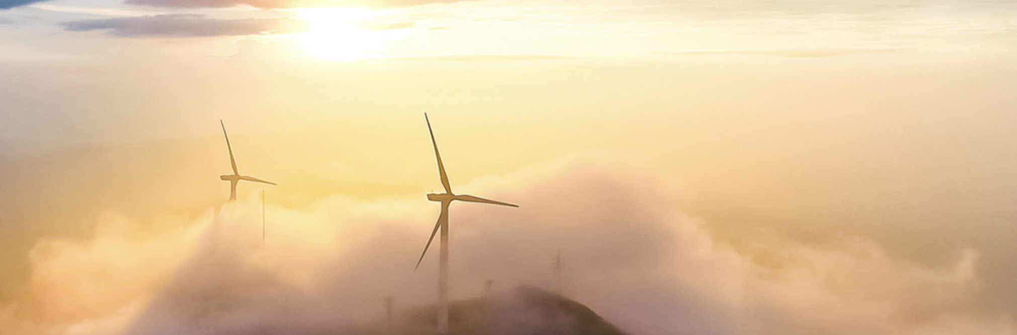 7790�ط����Ŷ��������й��ܽ�����˾��������Ա������С�ǡ�����������������������ҵ������+����������